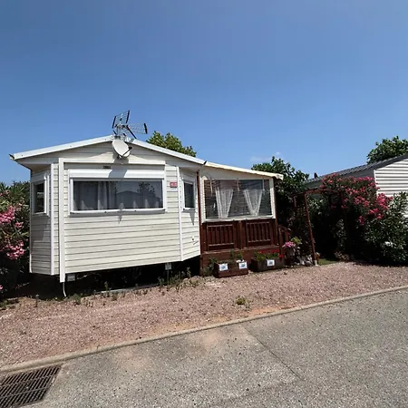 营地 Mobile Myosotis Siblu