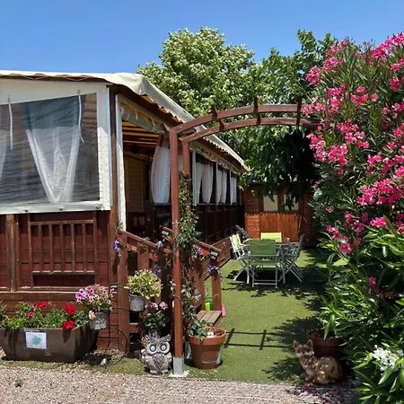 Mobile Myosotis Siblu Fréjus