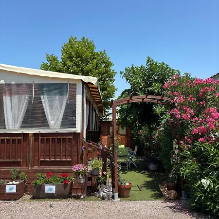 Mobile Myosotis Siblu *