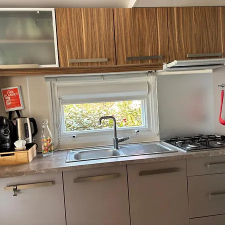 Mobile Myosotis Siblu